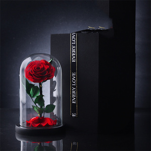 Vera <span class=keywords><strong>rosa</strong></span> in vetro cupola di fiori eterni per ragazza donna regalo di san valentino rosso 1 pezzo - Product Image 2