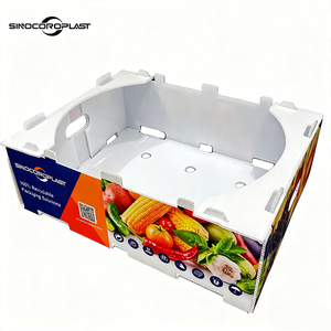 Caja de Almacenamiento Plegable de PP Resistente y Personalizada para Mangostán, Contenedor Ventilado para Frutas Frescas, <span class=keywords><strong>Sinocoroplast</strong></span> - Product Image 4