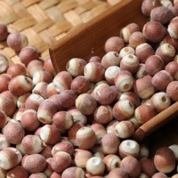 Nouvelle popularité chinoise Qianshi Gorgon Euryale Seed bonne qualité de haute qualité avec un prix inférieur