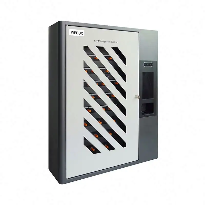 Hot Selling Wedox Industrial Hochs icherheits schlüssel Safe Multiple Keys Cabinet Indoor Moderner Wand schlüssels chrank