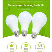 Ampoule LED à trois niveaux de luminosité, culot E27, veilleuse, protection des yeux, sans scintillement, source de lumière LED en aluminium, usage résidentiel