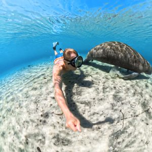 Boîtier de plongée étanche 60m pour Insta360 X5, coque de protection invisible pour photos et vidéos sous-marines à 360 degrés pour Insta360 X5 - Product Image 3