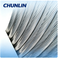 Câbles d'alimentation isolés ignifuges en aluminium gainé de fil toronné XLPE de taille personnalisée, haute tension, garantie 3 ans, câble ACSR