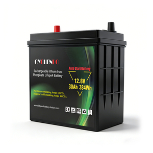 Batteria di Avviamento Personalizzata CYLENPO 12V 60Ah 100Ah LiFePO4, Batteria al Litio Leggera <span class=keywords><strong>per</strong></span> Auto, Camion e <span class=keywords><strong>Trattori</strong></span> - Product Image 2