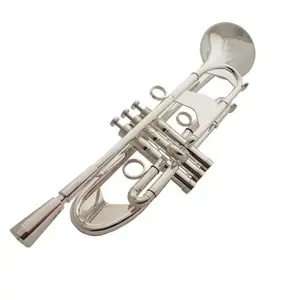 小号乐器，B平，初学者在成人乐队中学习演奏镀银重小号