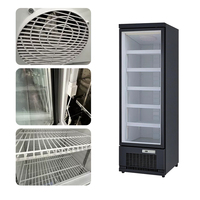 Prix d'usine Réfrigérateur électrique à congélation rapide Basse température-22 ℃ Petite taille avec désembuage Porte en verre Petit congélateur
