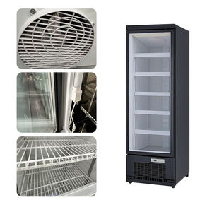 Prezzo di fabbrica elettrico rapido congelamento frigorifero a bassa temperatura-22 ℃ di piccole dimensioni con porta di vetro sbrinamento piccolo congelatore - Product Image 6