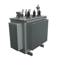 Transformateur de distribution de puissance immergé dans l'huile S13-M 125 kVA 13,8 kV-400 V 60 Hz pour le marché latino-américain