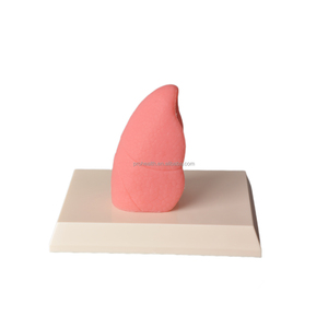 Modelo <span class=keywords><strong>de</strong></span> pulmón <span class=keywords><strong>de</strong></span> <span class=keywords><strong>fumador</strong></span> <span class=keywords><strong>de</strong></span> silicona <span class=keywords><strong>de</strong></span> tamaño pequeño para demostración <span class=keywords><strong>de</strong></span> pulmón saludable educativo - Product Image 3