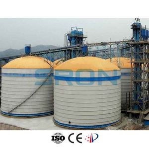 1000 t Ciment Silo <span class=keywords><strong>Groupe</strong></span> Construit par SRON au Mexique - Product Image 5