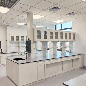 Mesa de laboratorio Escuela Hospitales Biotecnología Ciencia Experimentos químicos Botiquín Muebles de laboratorio Mesa de banco de trabajo - Product Image 1