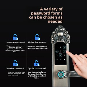 <span class=keywords><strong>Cerradura</strong></span> Inteligente de Seguridad para Puerta, con Huella Dactilar <span class=keywords><strong>Biométrica</strong></span>, Diseño Retro de Lujo, Compatible con OEM/ODM, para Puerta <span class=keywords><strong>Exterior</strong></span> de Villa o Casa de Campo - Product Image 5