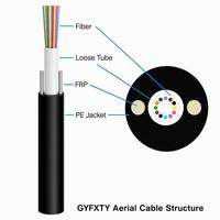 Cable de Fibra Óptica Aéreo Monomodo GYFXTY G652D de 1-24 Hilos, Autoportante con FRP y Cubierta de PE, Cable de Bajada para Red de Acceso FTTx
