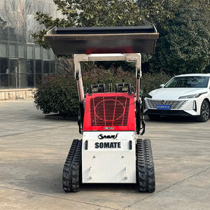 จัดส่งฟรี CE EPA รถตักล้อยางขนาดเล็ก ดีเซล รถตักหน้า รถตักล้อเดียว ระบบ PLC เกียร์ มอเตอร์ ปั๊ม แบริ่ง ผลิตในจีน สำหรับตลาดทั่วโลก - Product Image 4