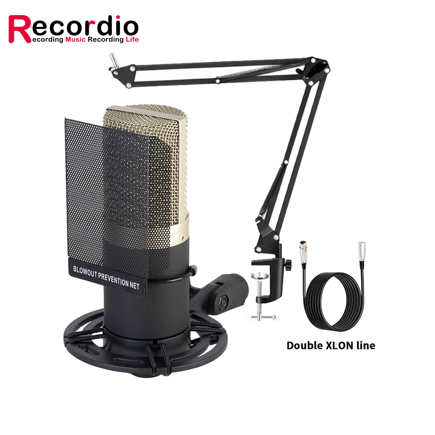 GAM-ZX797 Studio Recording XLR Condenser Microphone with Cable