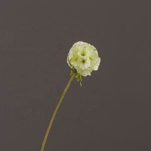 Sutra buatan kualitas tinggi benih Scabiosa untuk rumah pesta pernikahan dekorasi alat peraga fotografi - Product Image 3