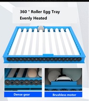 Couveuse à œufs à double puissance entièrement automatique et durable pour poulet, canard, oie et caille à faible bruit multi-taille 220v