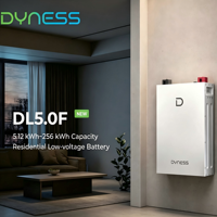 Batería Dyness DL5.0F de Bajo Voltaje LiFePO4, 6000 Ciclos, Sistema de Almacenamiento de Energía Residencial Todo en Uno para Uso Doméstico