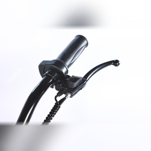 Vélo électrique pour vélo électrique avec panneaux légers rapides pour hommes, vélo électrique avancé le moins cher - Product Image 6