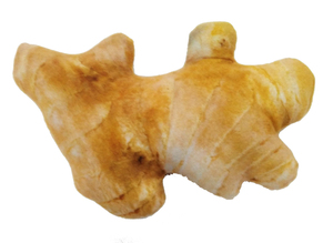 Jouets d'intérieur pour chiots en peluche créatifs, amusants, adorables, écologiques et qui font des sons - Product Image 5