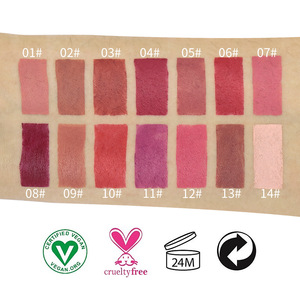 High Quality OEM Professional <strong>Lipsticks</strong> Waterproof Long Lasting Custom logo <strong>Matte</strong> 14 Colors <strong>Lipstick</strong> - Product Image 6