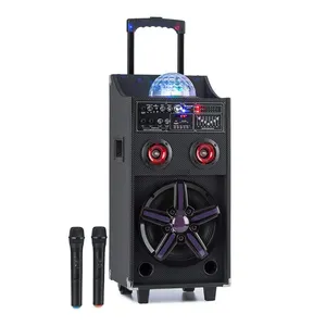 CQA Disco Holzbox Audio PA System profession eller 10 "Tieftöner 60W mit Disco Ball Lights Lautsprechern