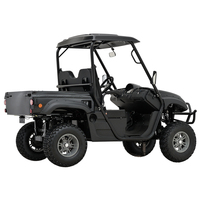 Véhicule utilitaire électrique (E-UTV) à transmission automatique, homologué CEE, quad à longue capacité de transport, 2 roues motrices