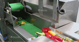 Dây Chuyền Chế Biến Salad Dây Chuyền Sản Xuất Rau Quả Và Rau Cắt Dây Chuyền Sấy Khô - Product Image 4