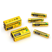 Alkaline Lr6 Lr03 Lr14 Lr20 1.5V AA baterai kering untuk termometer dan mainan