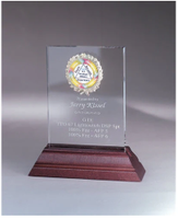 Plaque de récompense en cristal, trophée en métal argenté avec sérigraphie, placage or plastique, gravure laser écologique, bienvenue
