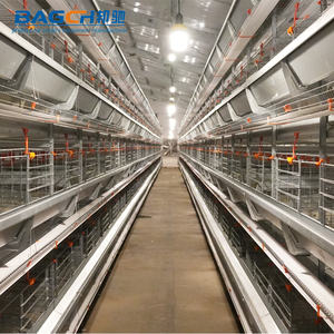 Nouveau <span class=keywords><strong>poulailler</strong></span> en acier galvanisé entièrement automatisé de type H à longue durée de vie de haute qualité pour ferme d'élevage de poulets - Product Image 3