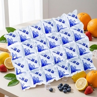 Sacs isothermes réutilisables pour le transport et la livraison, packs de gel réfrigérant instantané pour expédier des aliments surgelés, sacs de glace sèche
