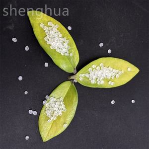 เม็ดพลาสติกโพลีโพรพิลีน ldpe/ppa/PVC PET /ps เกรดฉีดขึ้นรูป6711K - Product Image 3