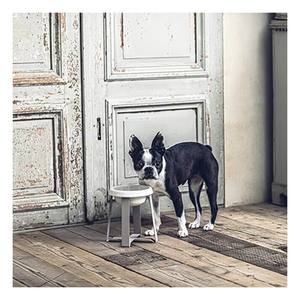 High Quality Large Tall Ceramic Cat Food <b>Stand</b> Tilted Breed Design Pet <b>Bowl</b> Eco-Friendly Standing <b>Dog</b> <b>Bowl</b> - Product Image 1