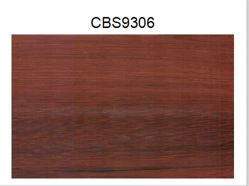 CBS9306