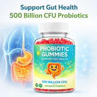 Probiotique Marque Blanche 500 Milliards de UFC Complément Santé Intestinale Soutien Digestif Forme Ourson Fabricant OEM ODM