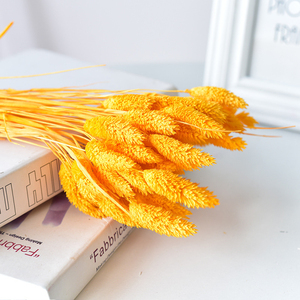 Decoración Boho, Joyería Natural, Flores Secas y Plantas, Hierba de Gemas, <span class=keywords><strong>Phalaris</strong></span>, para Regalo del Día de la Madre, Ramo de Flores - Product Image 5