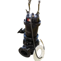 Pompe submersible WQ pour eaux usées, centrifuge, grand débit, en fonte, anti-colmatage