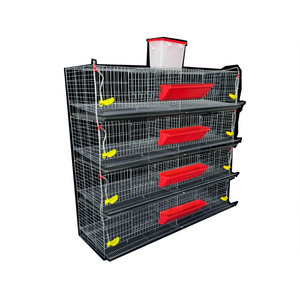 Cage d'élevage de caille commerciale - Product Image 5