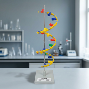 Kit de Modelo de ADN de Plástico Colorido, Estructura Molecular de Doble Hélice 3D, Material Didáctico para Demostraciones de Laboratorio - Product Image 2