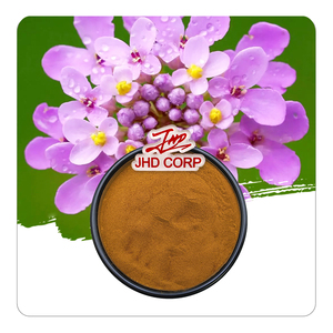 Magazzino USA / EU wholy Food Grade 4:1 10:1 TLC Iberis Amara estratto in polvere - Product Image 1