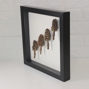 Herbarium Frames Natural <b>Wood</b> Color Wholesale Double Sided Glass Picture Frame for Home Decor Floating Photo Frame - Product Image 4