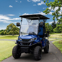 Voiturette de golf électrique 5kW à batterie au plomb métallique, certifiée CE, pneus tout-terrain 50 km/h, pour camping et chasse, 4 places, prix abordable