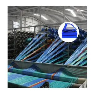 Overheidsaankoop Nylon Touw Polypropyleen Poly Zeildoek 10X15M Parkeerterrein Afdekking Plastic Zeildoek