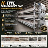 Cage à batterie pour poulets de chair de type H, 3 niveaux, avec plancher en plastique, alimentation et abreuvement automatiques, bande transporteuse pour fumier, OEM, en acier galvanisé