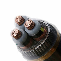 Cable de tensión media 1,8/3kV 3,6/6kV 6/10kV 8,7/15kV 12/20kV 21/35kV 26/35kV CU/XLPE/CTS/PVC/SWA/PVC