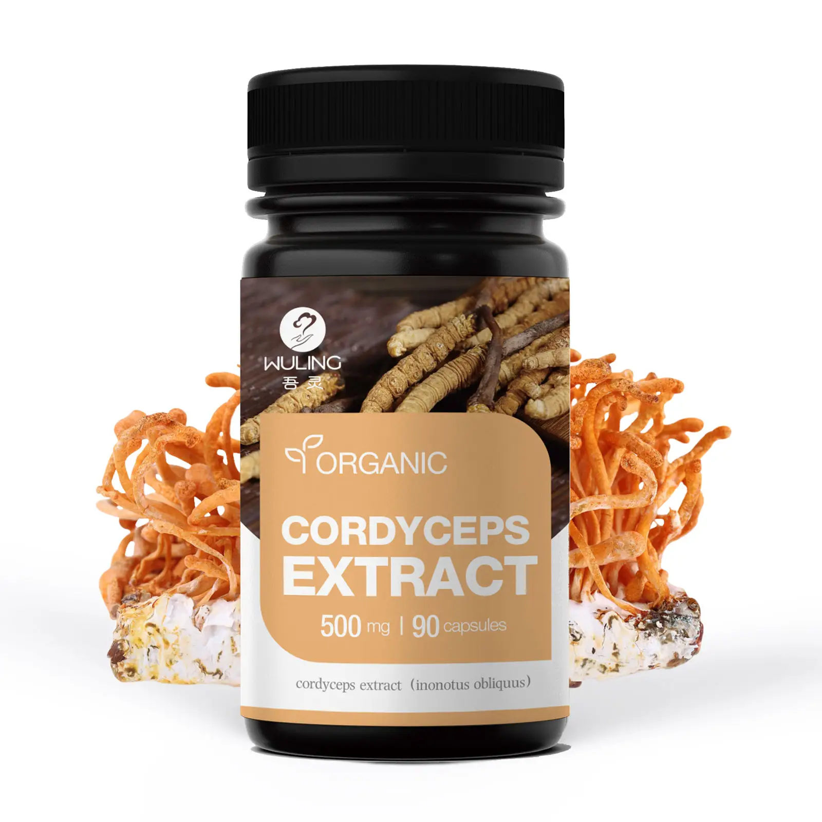 Custom Private Label Beta D Glucan Paddestoel Extract Poeder Cordyceps Militaris Extract Capsules