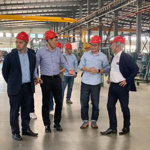 Zrg cách điện spandrel tấm kính với okalux daylighting và 4sg con dấu - Product Image 6