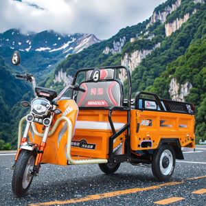 50 Km/H <span class=keywords><strong>Tandem</strong></span> Trike Vélo <span class=keywords><strong>électrique</strong></span> <span class=keywords><strong>Tricycle</strong></span> cargo fermé pour adultes avec corps ouvert 60v Tension - Product Image 1