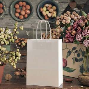 Sac en papier kraft recyclable avec logo personnalisé imprimé à l'écran, poignée torsadée pour vêtements, thé, sac à main, shopping, emballage personnalisé - Product Image 2